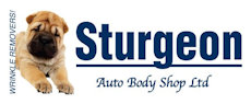 Logo-Sturgeon Autobody